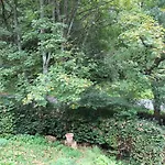 Rivendell 9 Prázdninový dům Monschau