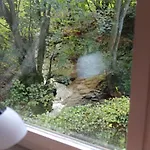 Rivendell 9 *