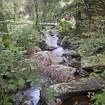 Feriehus Rivendell 9 *