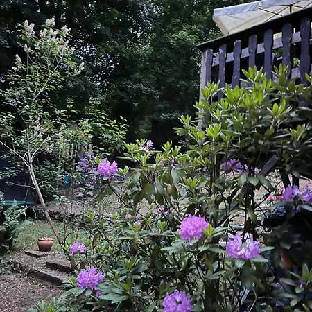 Casa vacanze Rivendell 9