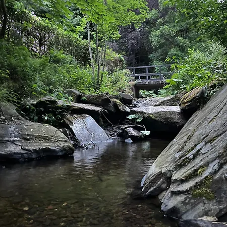 Vakantiehuis Rivendell 9 Monschau