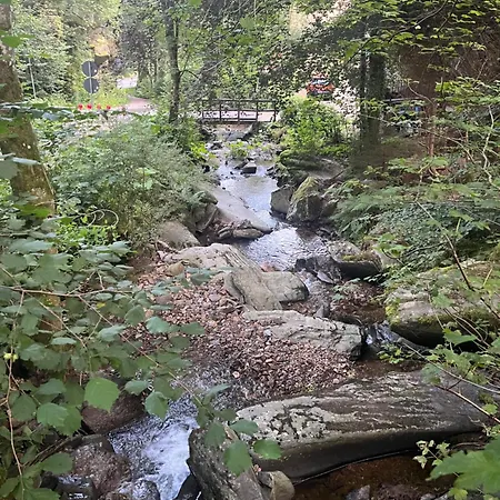 Vakantiehuis Rivendell 9 *