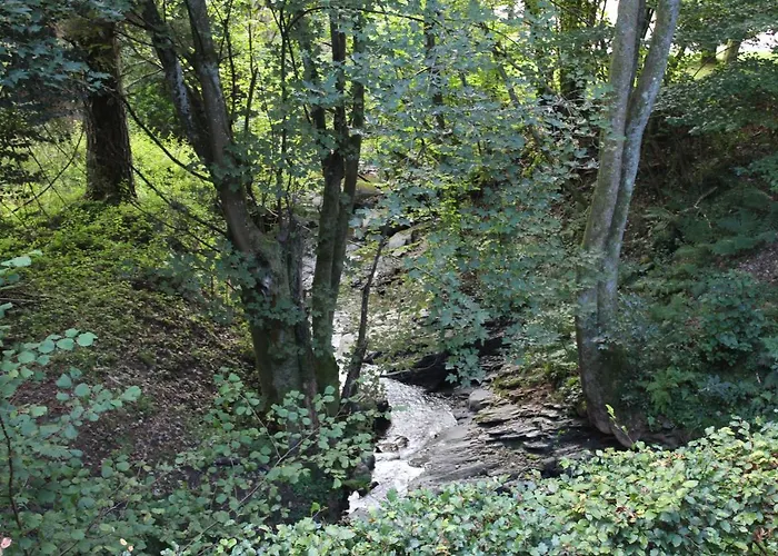 Vakantiehuis Rivendell 9 Monschau