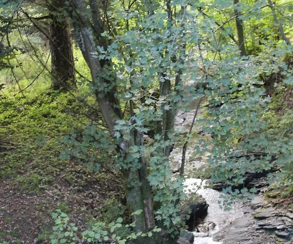 Semesterbostad Rivendell 9