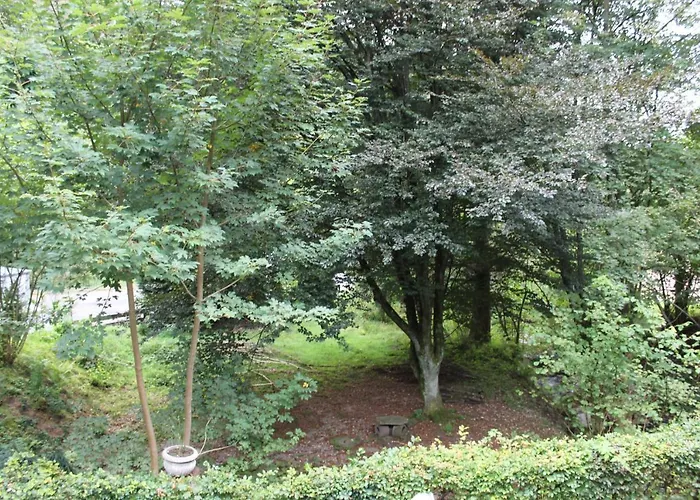 Vakantiehuis Rivendell 9 Monschau