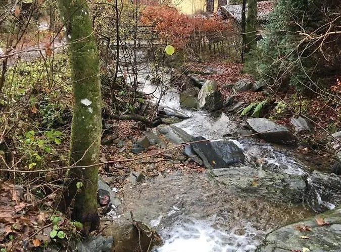 Rivendell 9 蒙绍