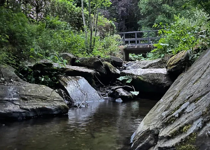 Vakantiehuis Rivendell 9 Monschau